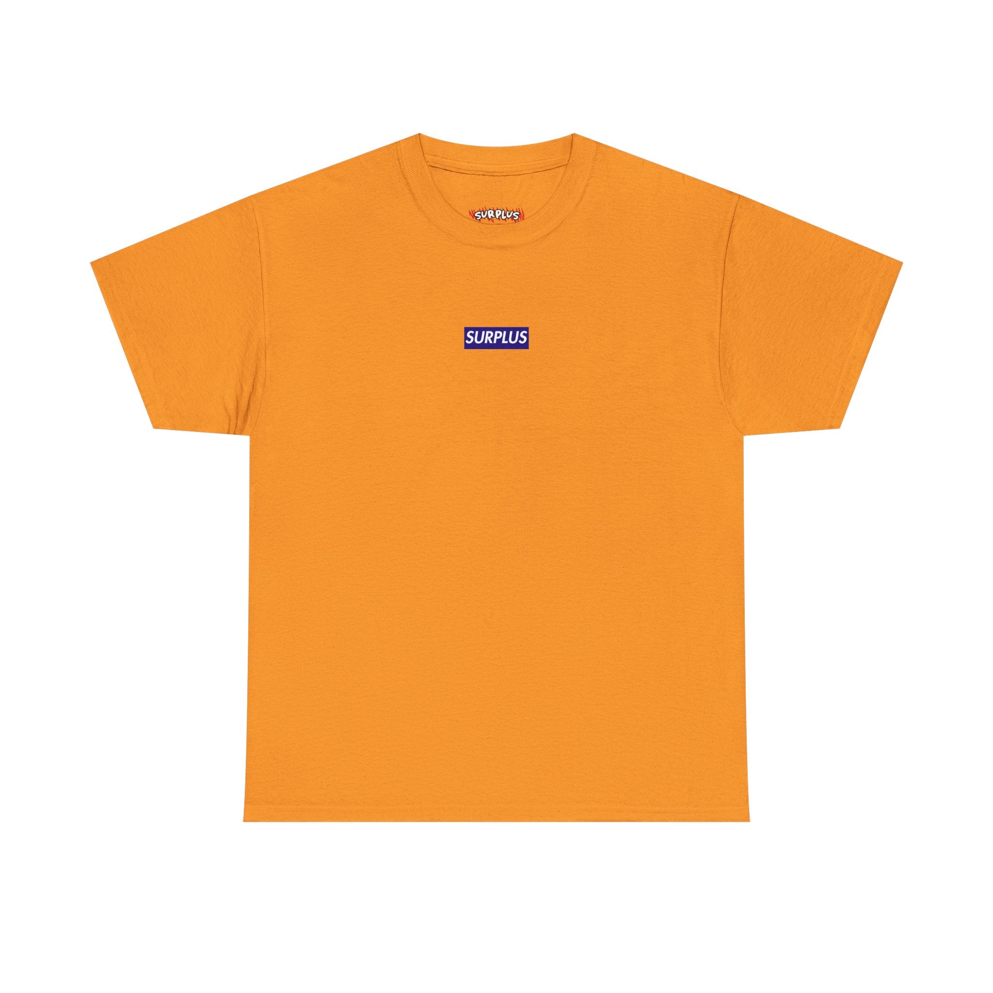 Box Logo Tee – SURPLUS